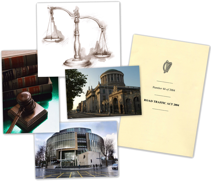Expert Witness , Oral Hearing, Public Inquiry